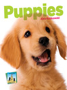 Cover image for Puppies